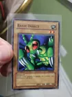 Basic Insect