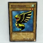 Petit Dragon