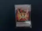 Herald of Orange Light