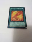 A Feather of the Phoenix