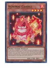 Agnimal Candle