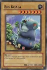 Big Koala