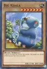 Big Koala