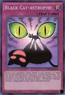 Black Cat-astrophe