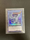 Odd-Eyes Vortex Dragon