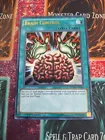 Brain Control