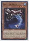 Buzzsaw Shark
