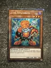Junk Synchron