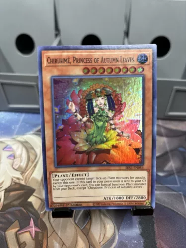 Prediction Princess Coinorma