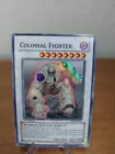 Colossal Fighter