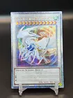 Cosmic Blazar Dragon