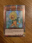 Dandylion