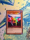 Different Dimension Dragon