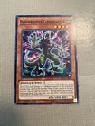 Dinowrestler Pankratops
