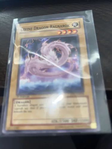 Divine Dragon Ragnarok