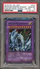 Dragon Master Knight