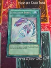 Evolution Burst