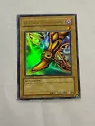 Right Leg of the Forbidden One