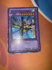 Gaia the Dragon Champion