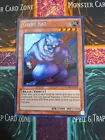 Giant Rat