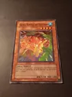 Gora Turtle of Illusion