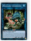 Lizard Soldier