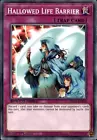 Sacred Spirit of the Ice Barrier