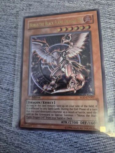 Horus the Black Flame Dragon LV6