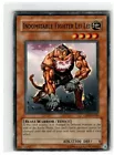 Indomitable Fighter Lei Lei