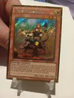 Kozmo Farmgirl