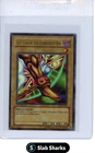 Left Leg of the Forbidden One