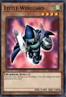 Little-Winguard
