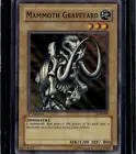 Mammoth Graveyard