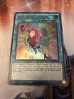 Paradox Fusion