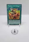 Mikanko Fire Dance