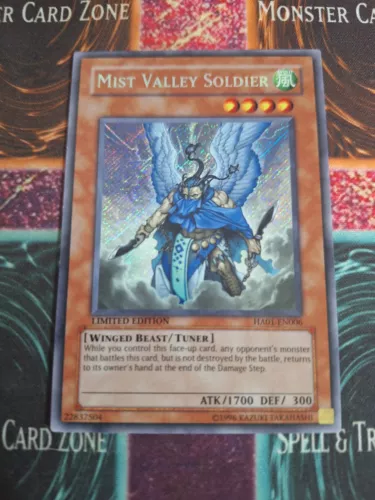 Mist Valley Soldier