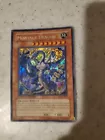 Montage Dragon