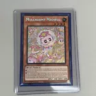 Mulcharmy Meowls