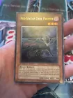 Neo-Spacian Dark Panther