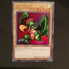 Parrot Dragon