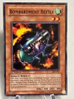 Bombardment Beetle