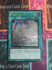 Photon Veil
