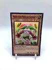 Prediction Princess Coinorma