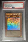 Rainbow Dragon