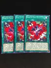 Rank-Up-Magic Raid Force