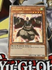 Reborn Tengu