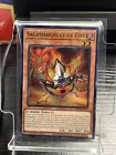 Salamangreat of Fire