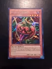 Mystic Tomato