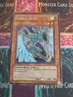 Shield Wing