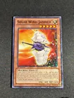 Solar Wind Jammer